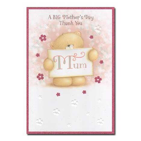 Mum a Big Thank You Mothers Day Card